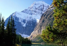 9games sports-包含关键时刻全明星赛传出新动向，尼斯刷新队史纪录，管理层表态：更衣室稳定，阵容厚度经受考验的词条-9games sports